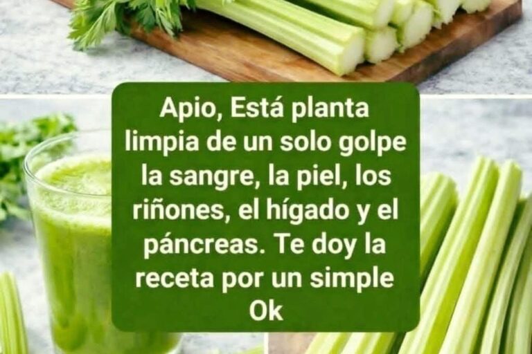 El jugo de apio que está causando revuelo: lo que realmente hace en tu cuerpo (y cómo prepararlo bien)