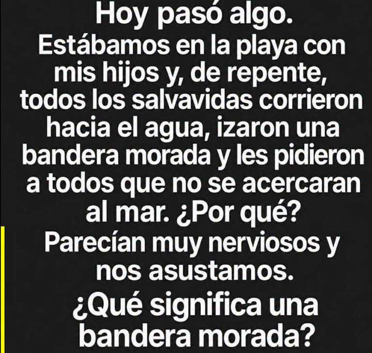 Bandera violeta en la playa: qué significa y cómo actuar para disfrutar del mar con mayor seguridad