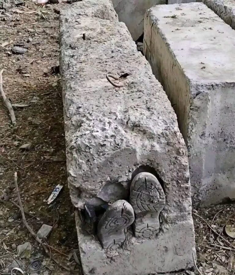 Un señor fue encontrado dentro de la… Ver más