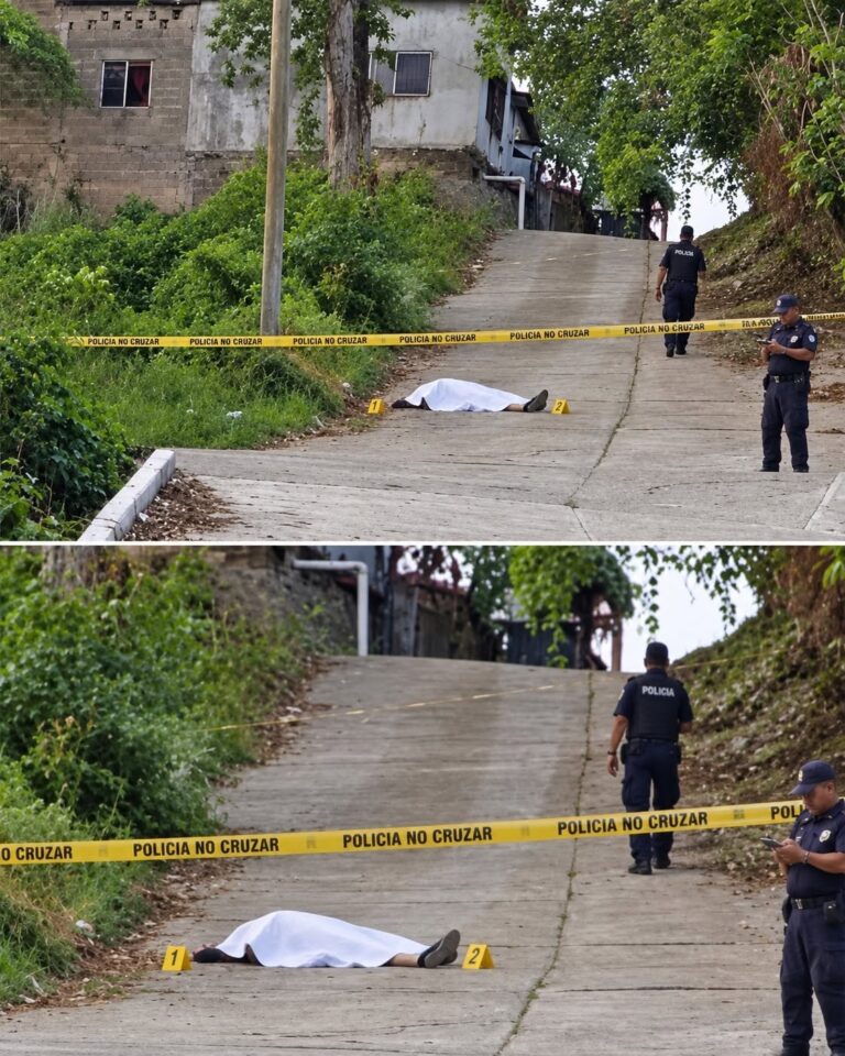 Esto es lo que se sabe hasta el momento sobre el hecho que mantiene acordonada una zona