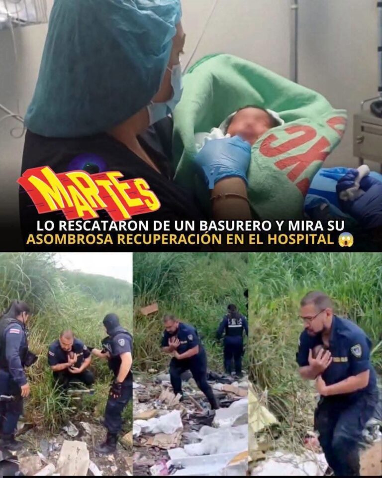 Si madre lo abandonó en la Basura pero… Ver más