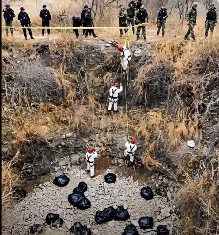 Amplio operativo de autoridades en una zona de difícil acceso genera gran atención